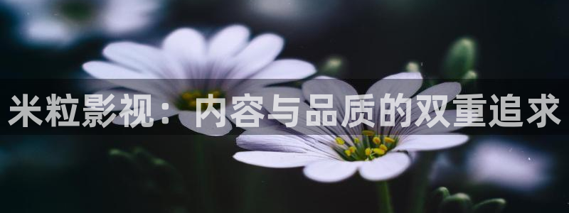 超碰在线观看免费视频