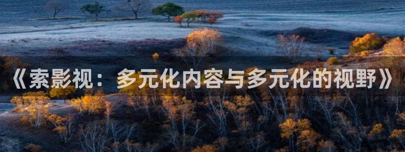 97超碰线：《索影视：多元化内容与多元化的视野》
