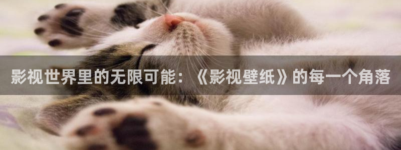 超碰在日：影视世界里的无限可能：《影视壁纸》的每一个角落