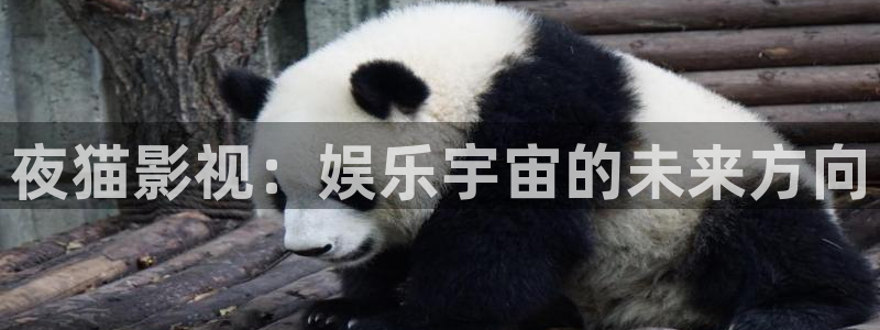 超碰在线的